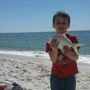 Meet your Posher, Logan